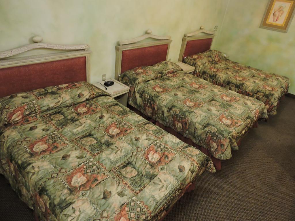 Hotel Quinta Cesar San Juan de los Lagos Bagian luar foto